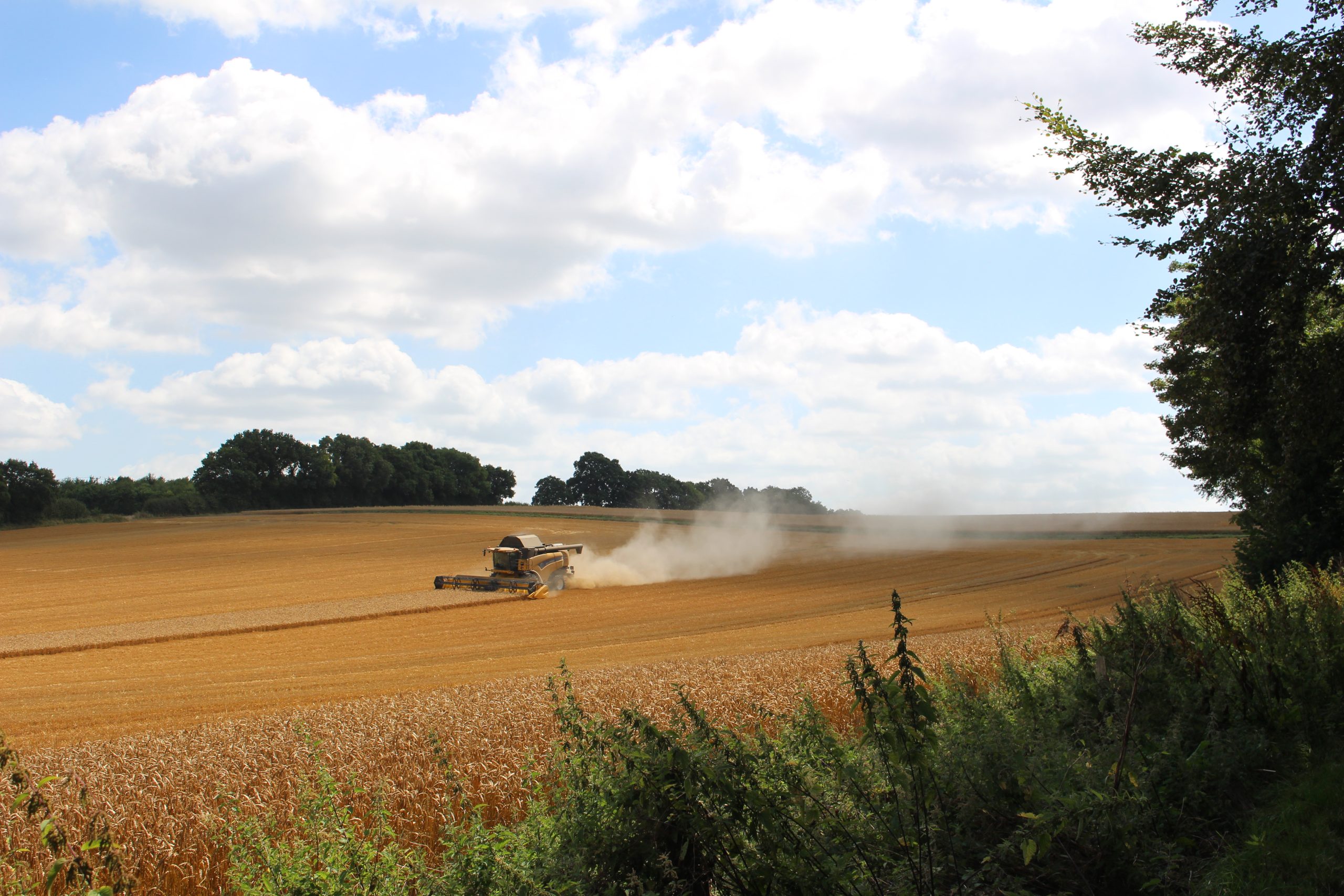 Combine 2